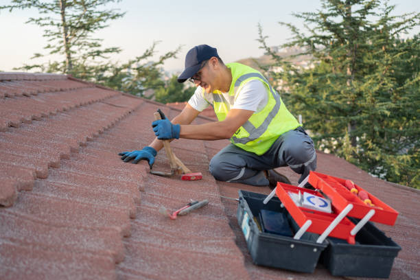 Best Storm Damage Roof Repair  in Holly Hill, SC