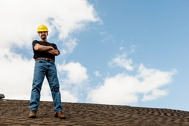 Best Roof Gutter Cleaning  in Holly Hill, SC